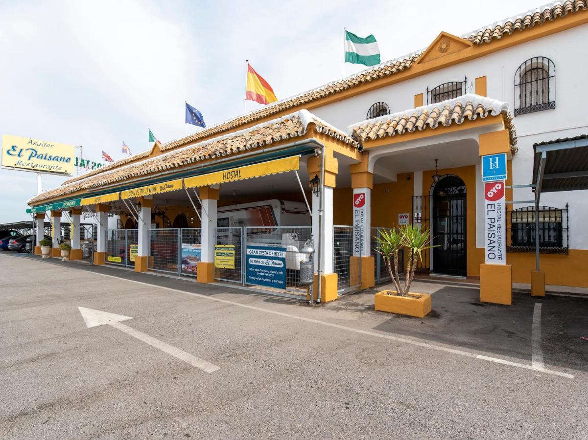 Oyo Hostal El Paisano Utrera Buitenkant foto